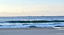 %_tempFileName0217am%