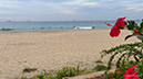%_tempFileName1105am%