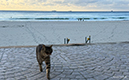 %_tempFileName1126am%