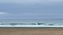 %_tempFileName0411am%