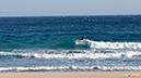 %_tempFileName0416pm%