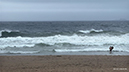 %_tempFileName0423pm%