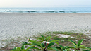 %_tempFileName0830am%