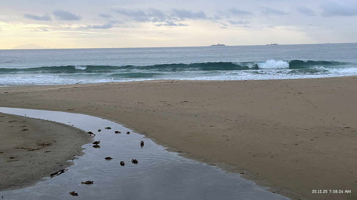 %_tempFileName1225am%