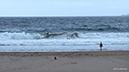 %_tempFileName0715pm%