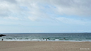 %_tempFileName0623am%