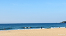 %_tempFileName0628am%
