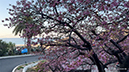 %_tempFileName0301am%