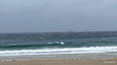 %_tempFileName0303pm%