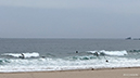 %_tempFileName0313pm%
