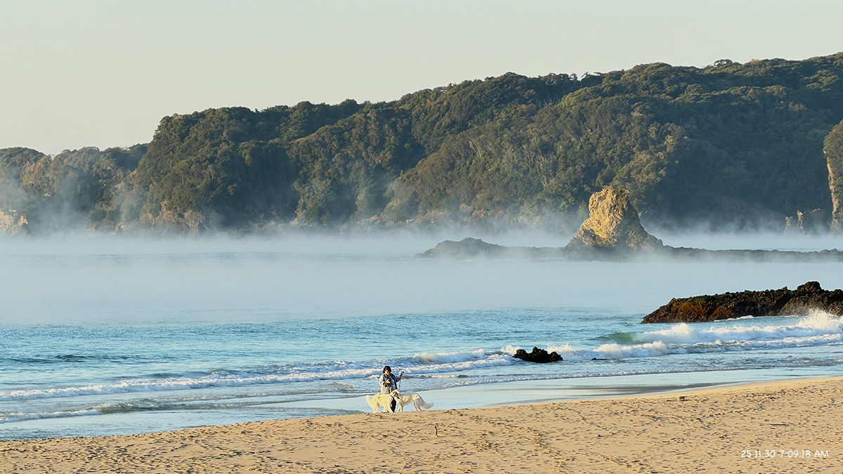 %_tempFileName1130am2%