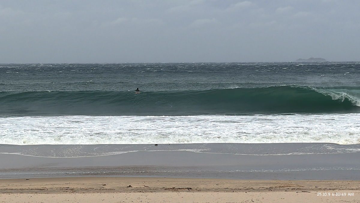 %_tempFileName1009am%