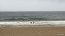 %_tempFileName0905am2%