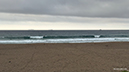 %_tempFileName0929am%