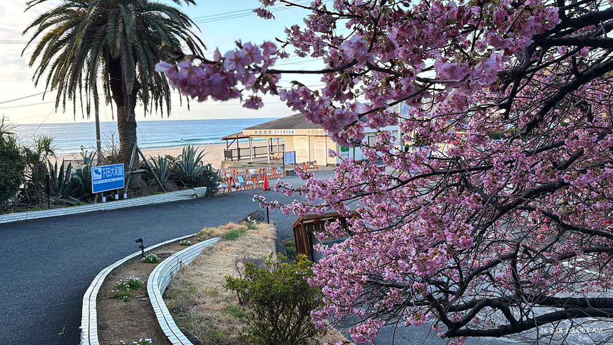 %_tempFileName0218am%