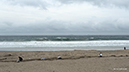 %_tempFileName0712am%