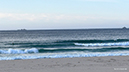 %_tempFileName0509am%